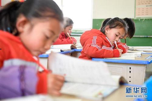 马建视频,揭秘成功背后的奋斗与智慧