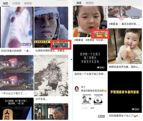 五哥爆料栏目视频播放,揭秘视频背后的精彩瞬间